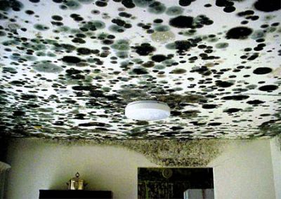 Flood Cleanup Pequannock - Basement Mold & Water Extraction Service Flood Cleanup Pequannock - Basement Mold & Water Extraction Service