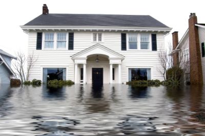 Flood Clean Up Edgewater - Basement Mold & Water Pump-out Service Flood Clean Up Edgewater - Basement Mold & Water Pump-out Service