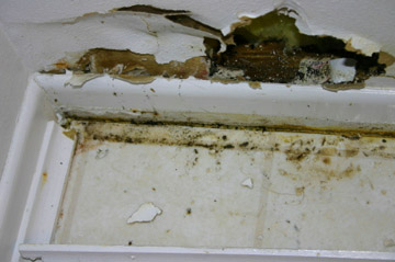 Flood Clean Up New Milford - Water Pump Out& Mold Cleaning Service Flood Clean Up New Milford - Water Pump Out& Mold Cleaning Service