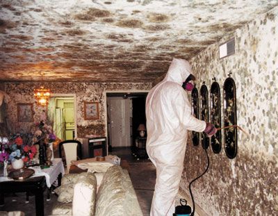 Flood Clean-up Leonia - Basement Mould Abatement & Water Damage Restoration Services Flood Clean-up Leonia - Basement Mould Abatement & Water Damage Restoration Services