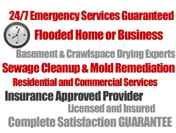 Flood Clean-up Waldwick - Wet Basement Molds Remediation Service Flood Clean-up Waldwick - Wet Basement Molds Remediation Service